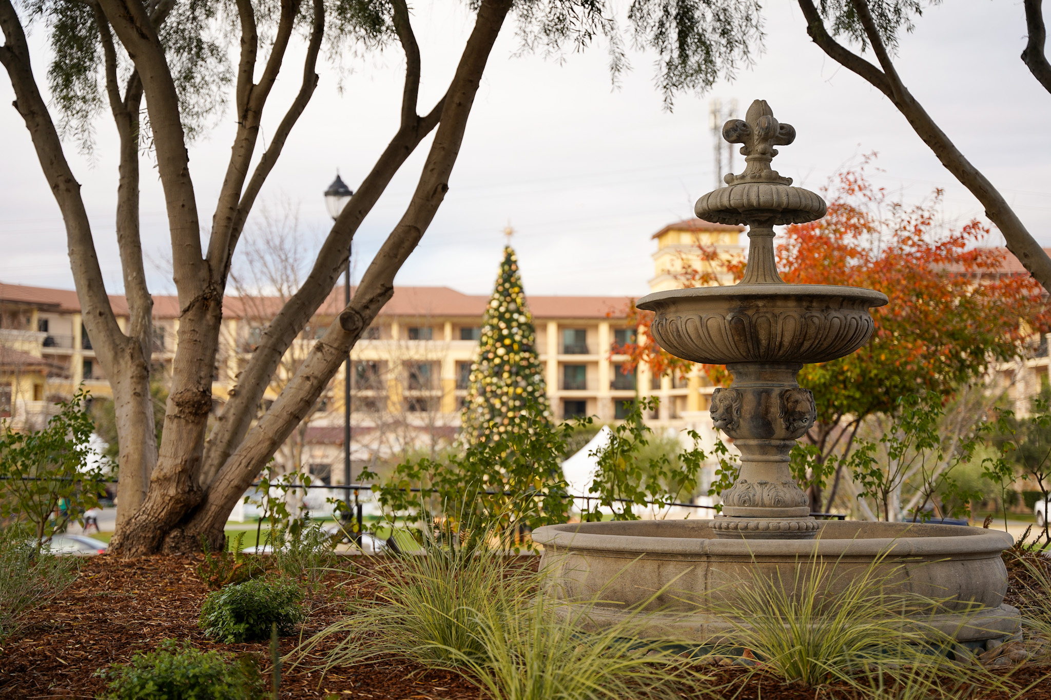 Experience The Enchantment of Merry Meritage - A Winter Wonderland at The Meritage Resort & Spa in Napa Valley