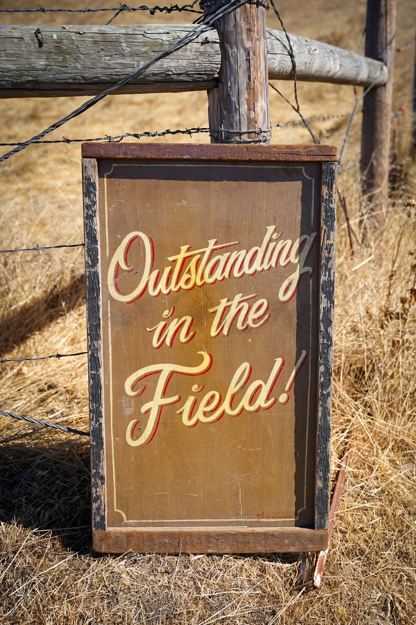 Outstanding in the Field in Big Sur California