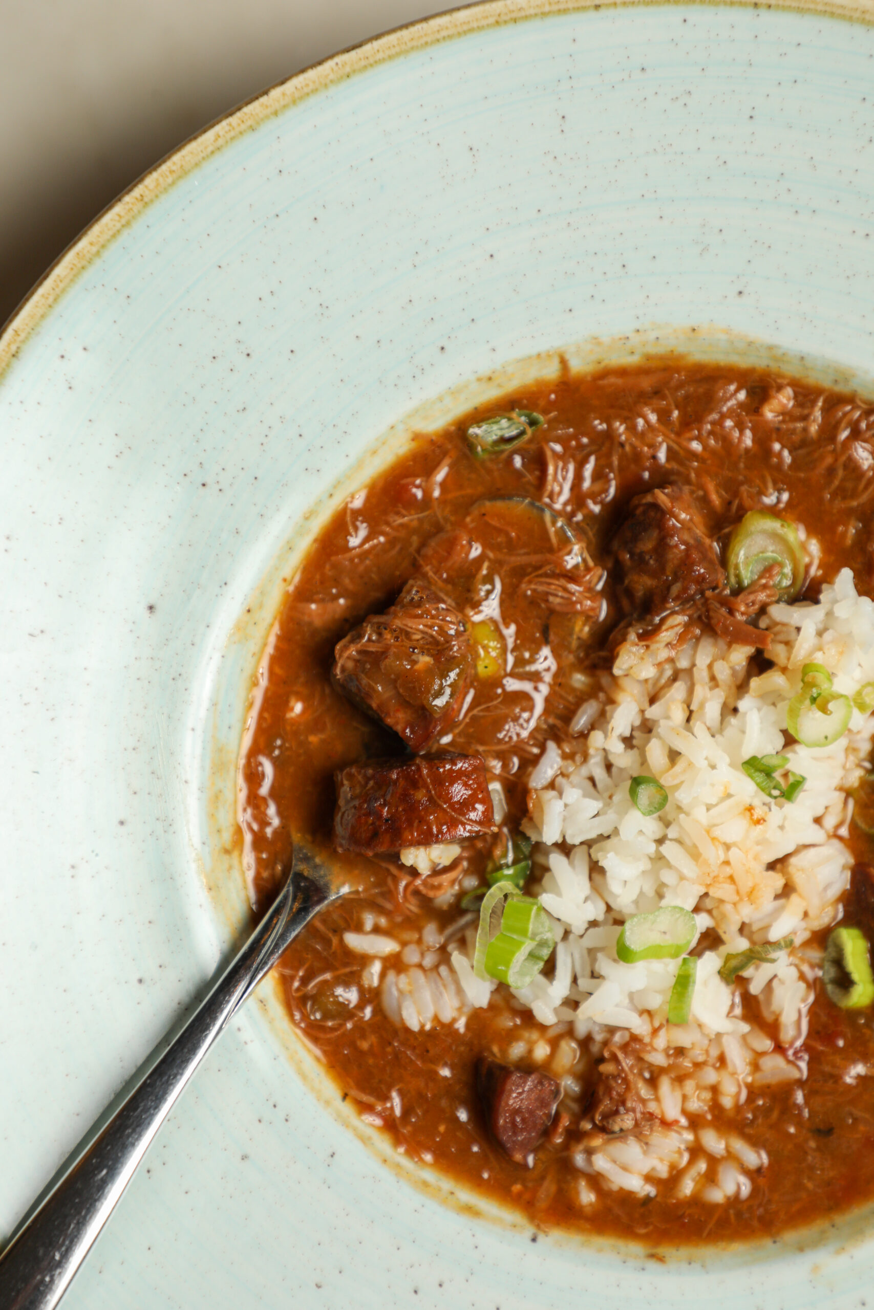 A Taste of the Holidays: Gourmet Recipes from Culinary Stars, Cookbook Authors & Celebrity Chefs -Duck and Andouille Gumbo by Brian Landry - Image Credit Randy Schmidt