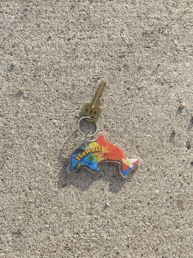 Found a key at the domain dog park if it’s yours, feel free to DM me.