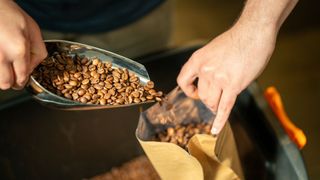 Hands scooping coffee beans into bag