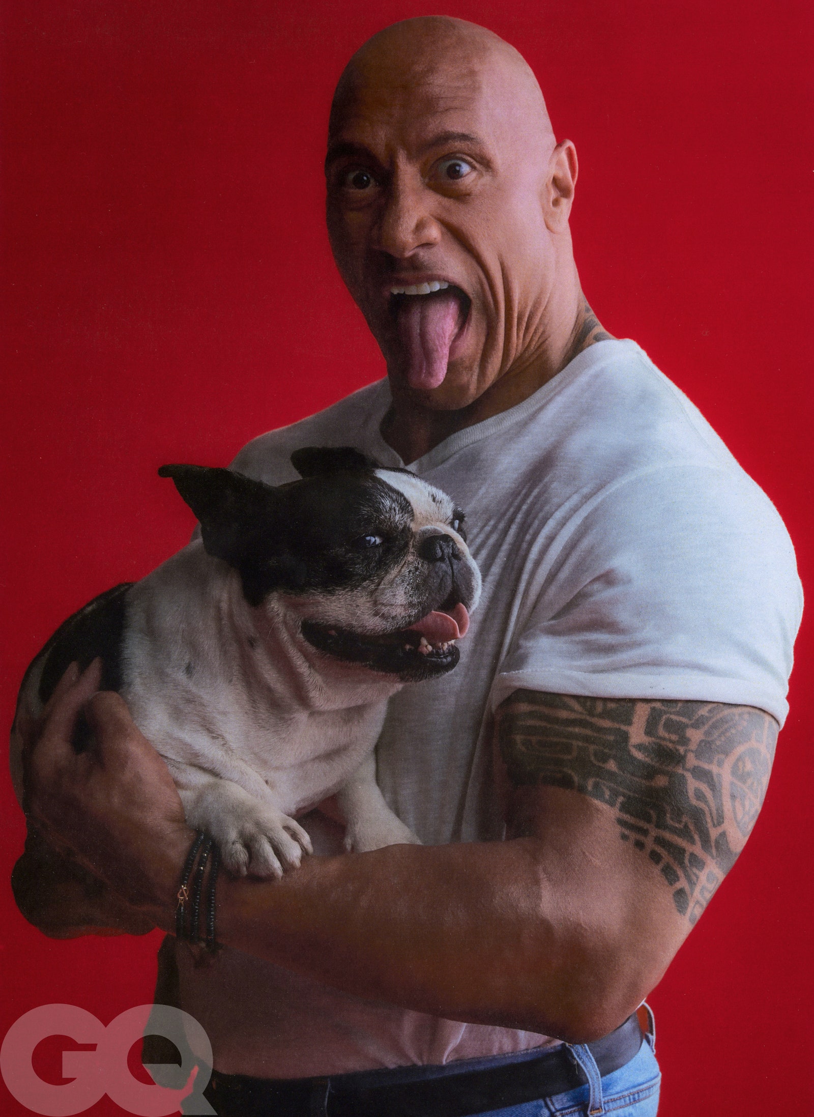 Image may contain Dwayne Johnson Adult Person Skin Tattoo Animal Bulldog Canine Dog French Bulldog Mammal and Pet