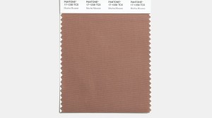 Pantone's Color of the Year 2025