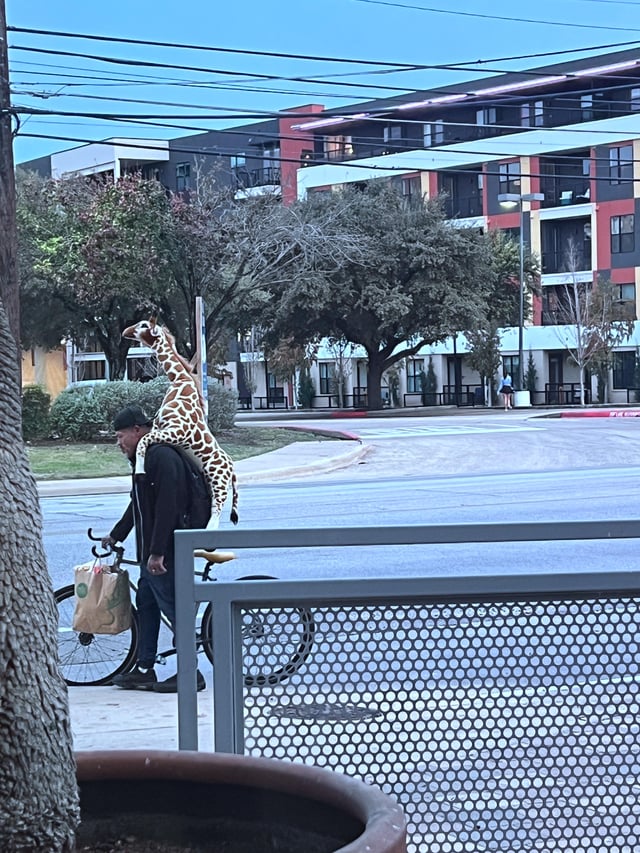 South Lamar Giraffe Biker, I salute you?