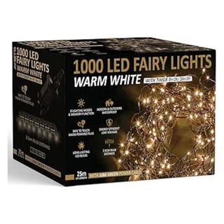 Netta Warm White Fairy Lights