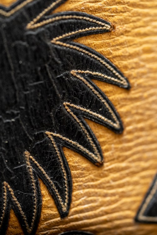 Close-up.